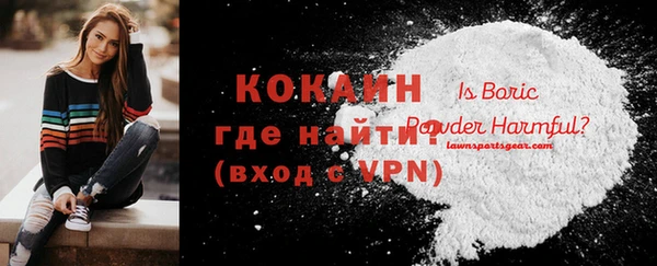 молекула духа Горнозаводск