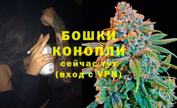 молекула духа Горнозаводск