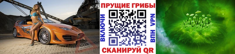 Галлюциногенные грибы Psilocybine cubensis  где можно купить   Зеленоградск 