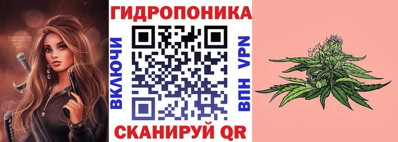 Каннабис план Зеленоградск